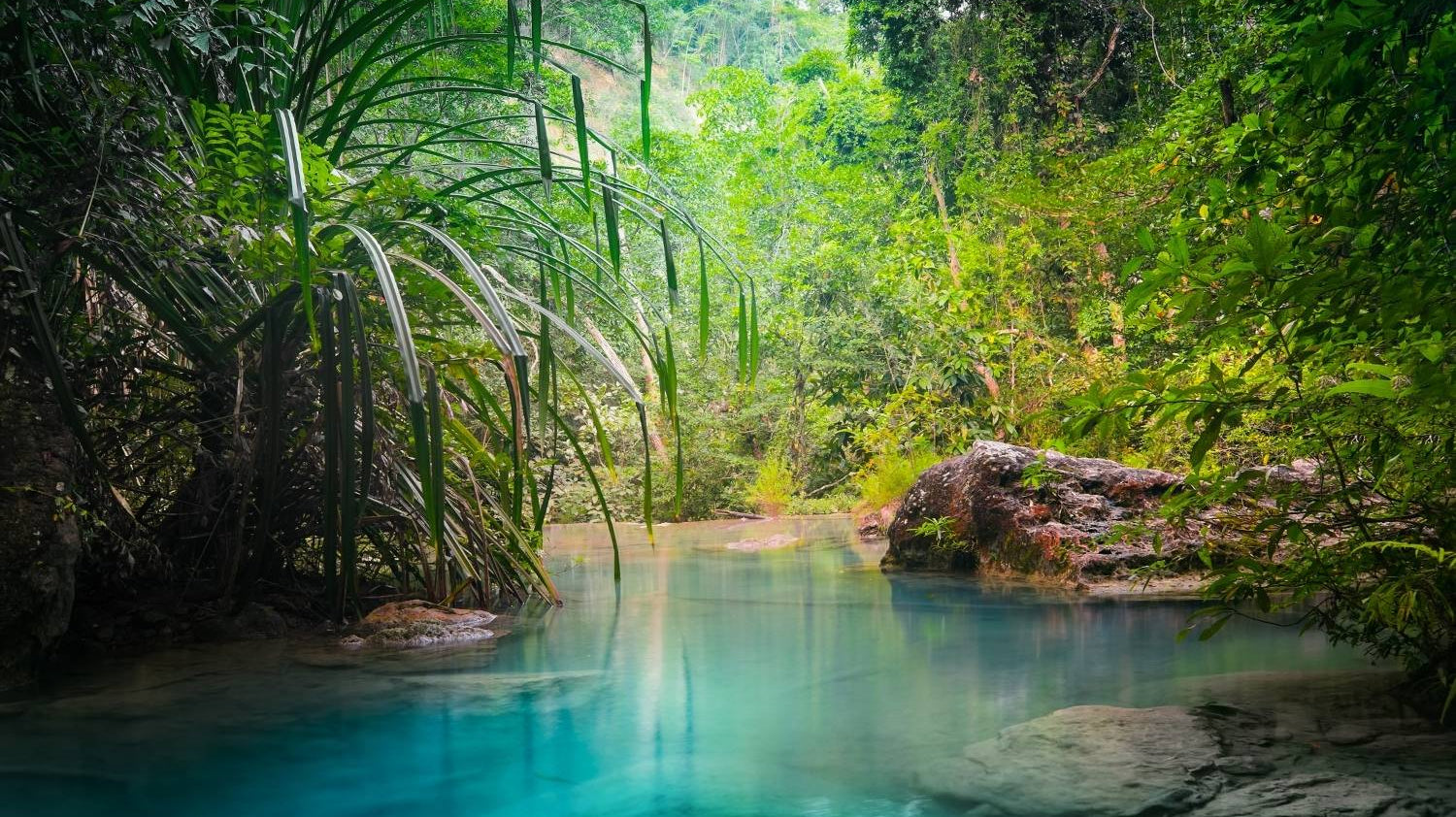 AUGUST ECO GIVE BACK