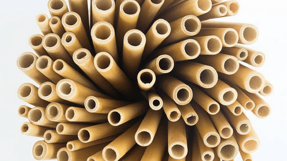 Making a difference one bamboo straw at a time