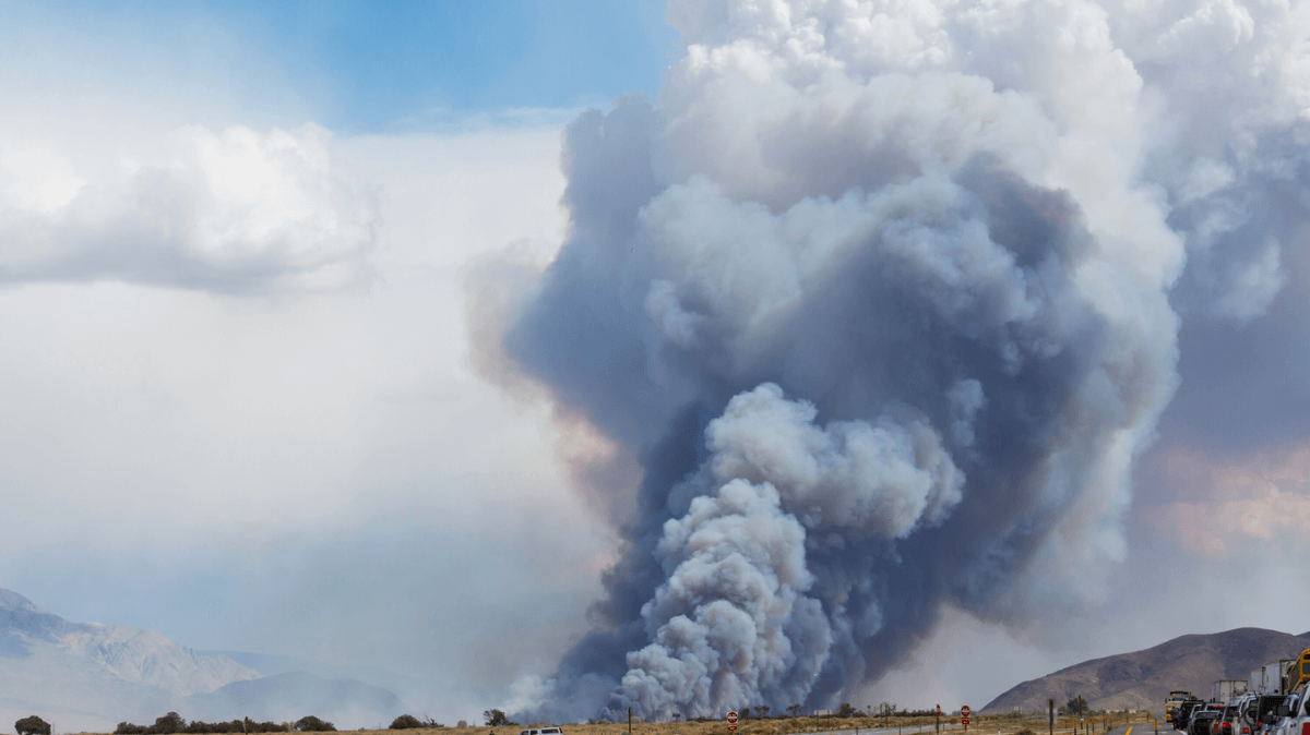 Victorian Country Fire Authority