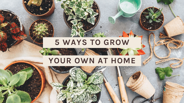 5 Ways to Grow Your Own at Home