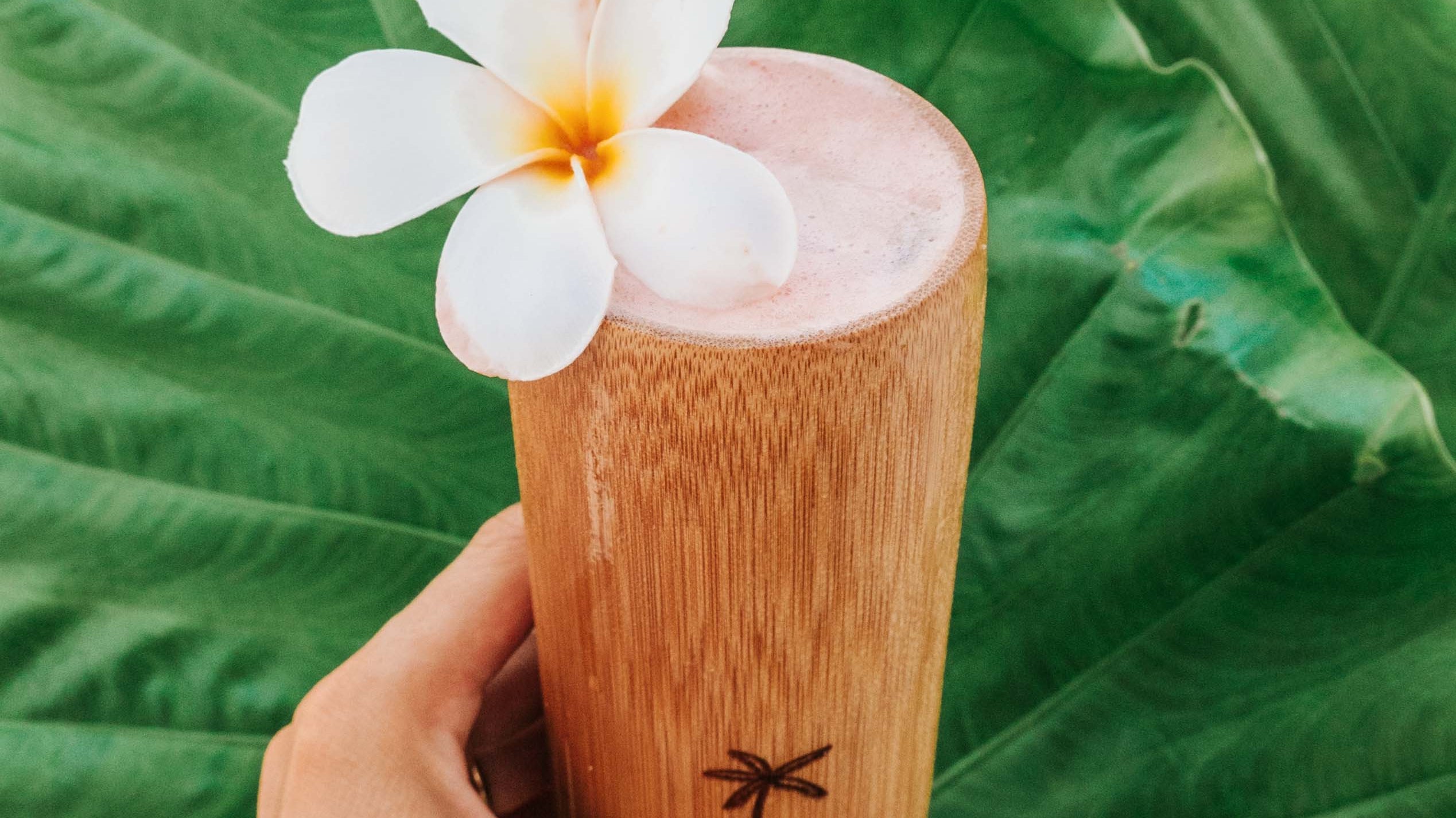 Choc Peanut Butter Smoothie