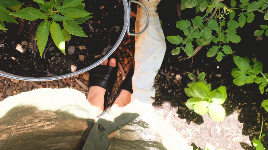 How Composting Can Save Our Planet