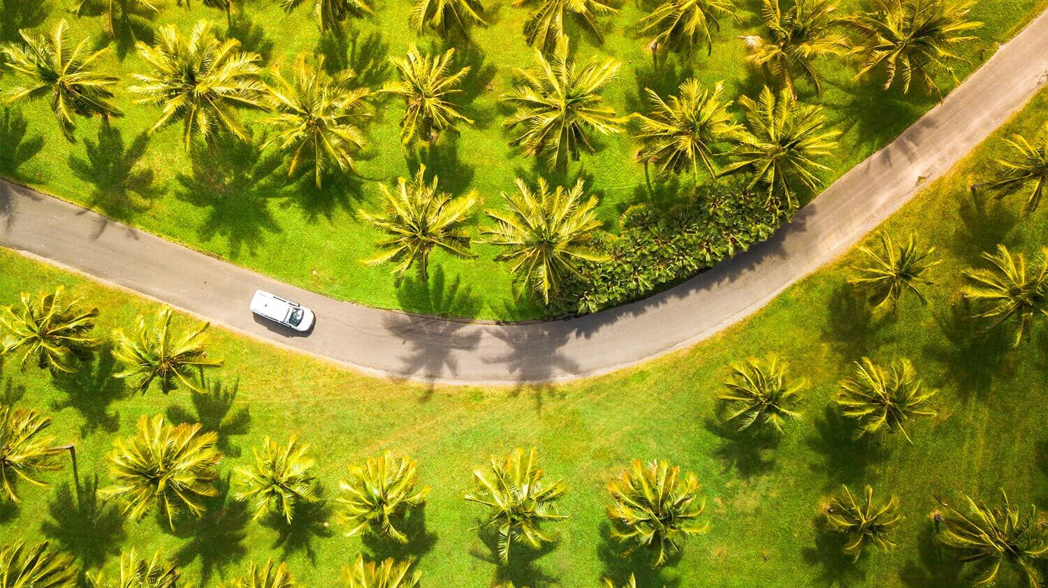 Beyond the Bowl Project