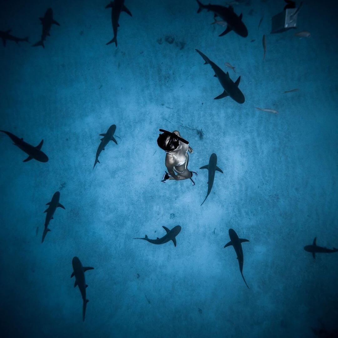 SHARK WEEK: Meet Shark Girl Madison