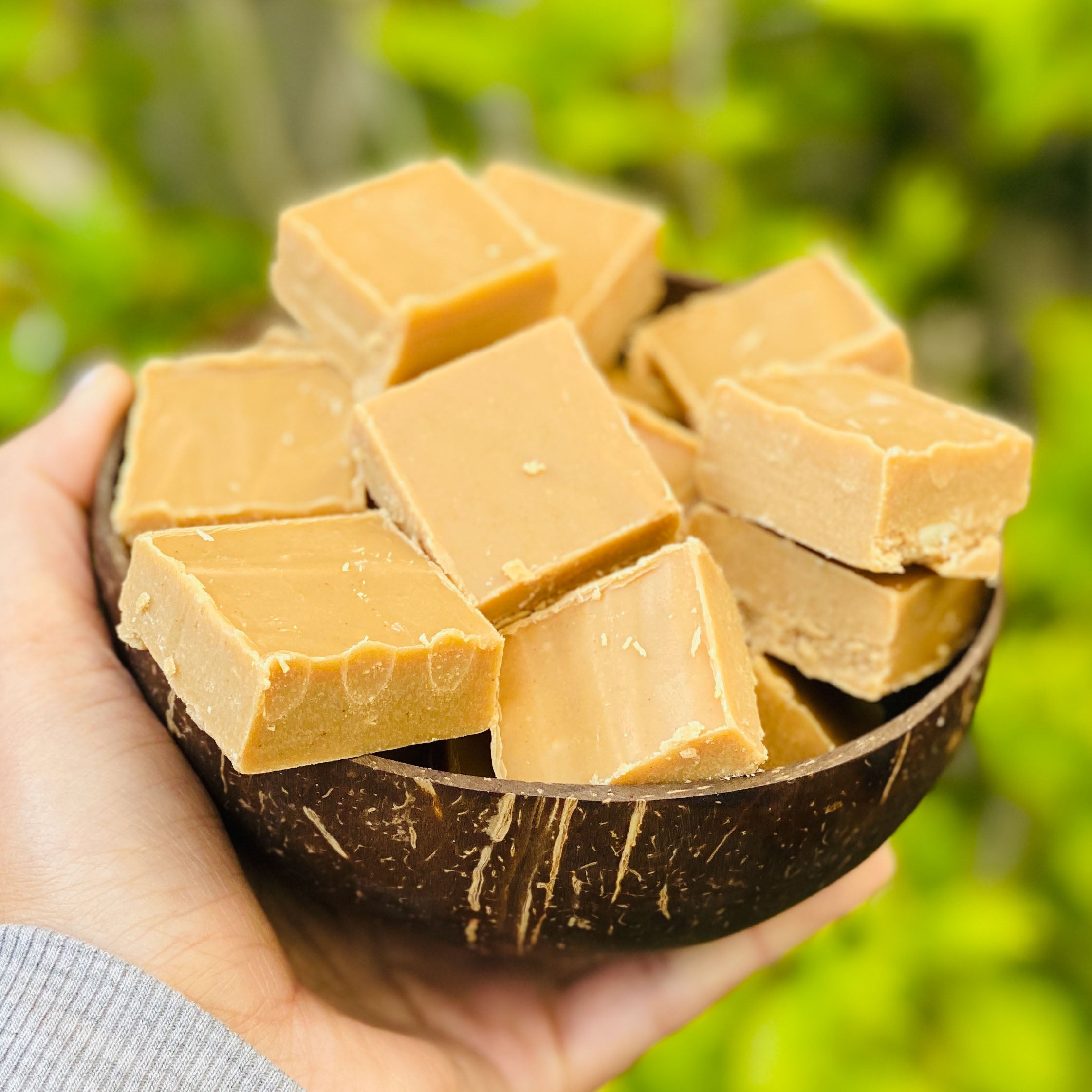 Peanut Butter Fudge