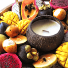 Tropical Fruits Soy Candle by Coconut Bowls